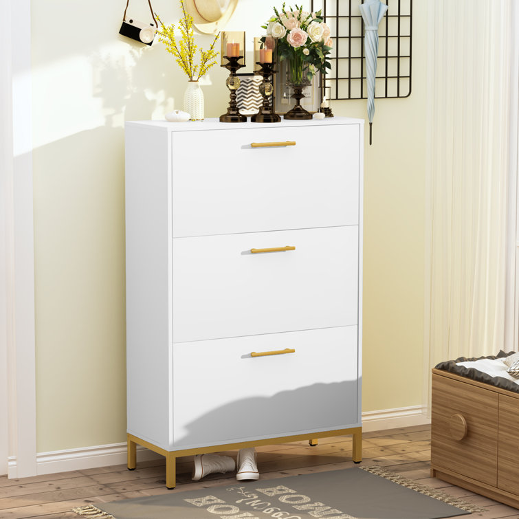 Shoe storage 2025 cabinet wayfair